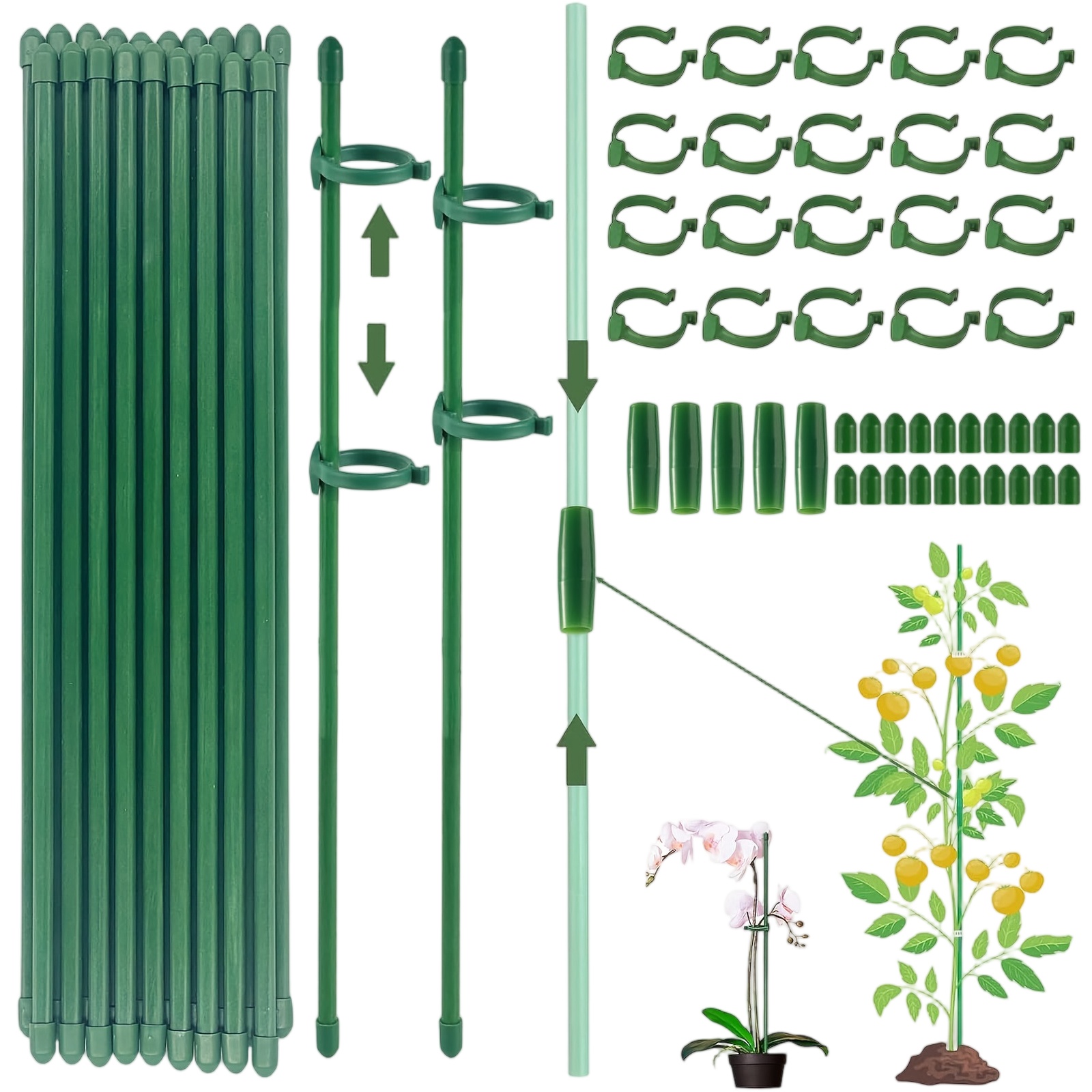 Florist Supply Bulk - เสาค้ำต้นไม้แบบเดี่ยว สำหรับพุ่มไม้ ดอกไม้ ผัก เถาวัลย์ กล้วยไม้