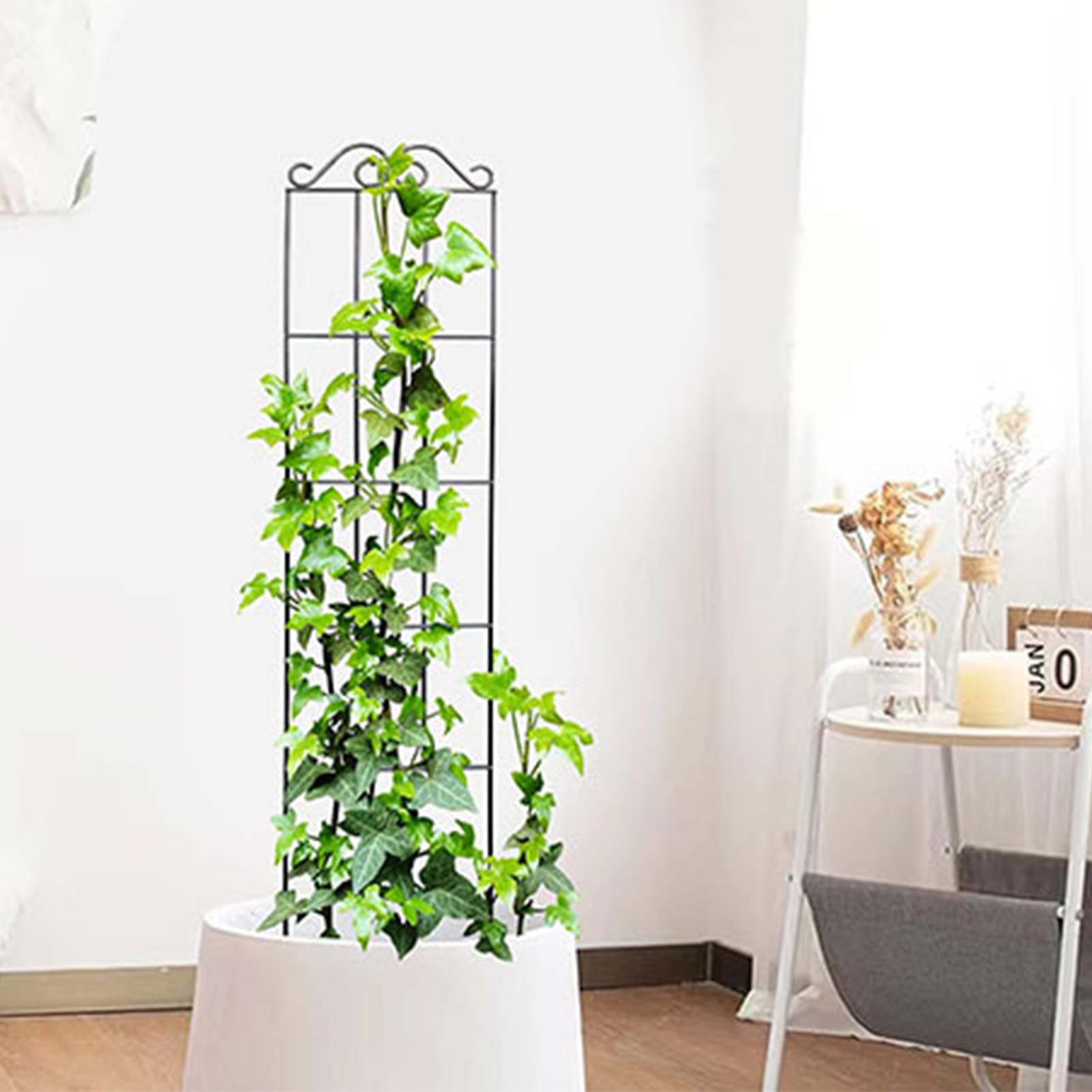 โครงไม้ระแนงในสวนที่ทนทานสำหรั - Florist Supply Bulk บทวิจารณ์และราคา