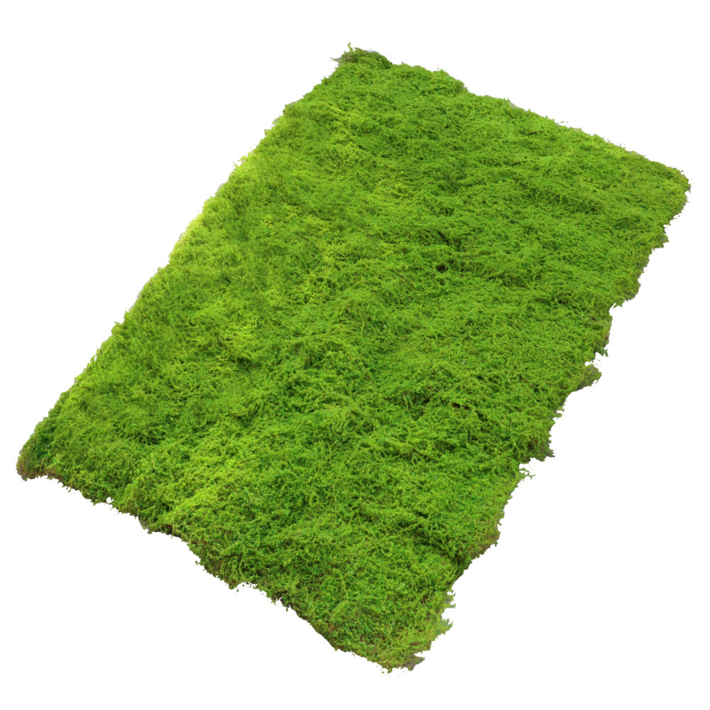 แผ่นหญ้าเทียมลายมอส สำหรับตกแต - Preserved Moss Sheet บทวิจารณ์และราคา