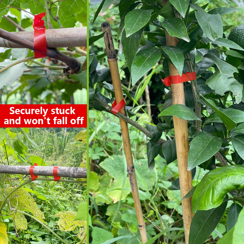 เครื่องมัดต้นไม้ในสวน เครื่องม - Florist Supply Bulk บทวิจารณ์และราคา